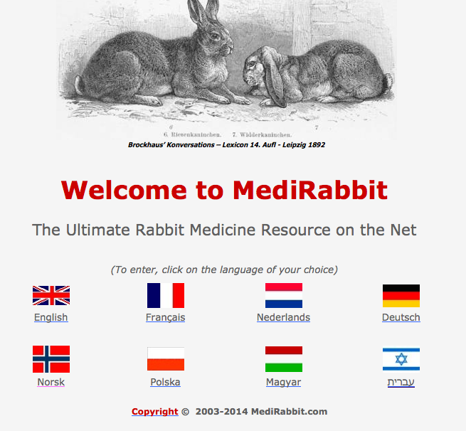 MediRabbit hjemmeside